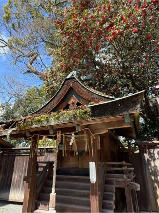 金刀比羅宮（宗像神社）の参拝記録(あきちゃんさん)