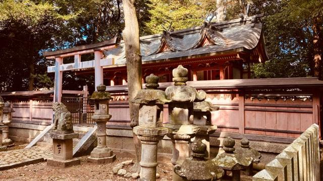 穴栗神社 (穴吹神社)の参拝記録2