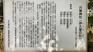 穴栗神社 (穴吹神社)の参拝記録(すったもんださん)