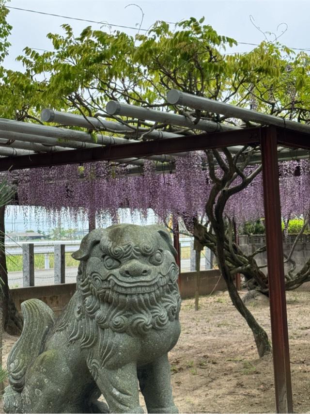 厳島神社の参拝記録2