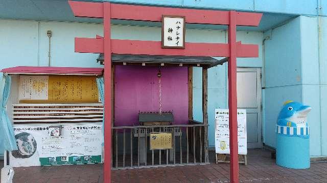愛知県知多郡美浜町奥田儀路４２８−１ ハナレナイ神社（南知多ビーチランド内）の写真1