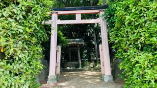 須佐之男神社 (大和郡山市上三橋町)の参拝記録(すったもんださん)