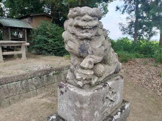 星宮神社の参拝記録(さとみさん)