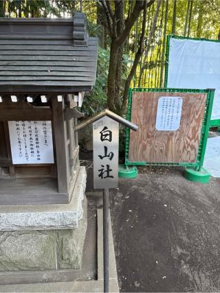 白山社(日枝神社)の参拝記録(⛩️🐍🐢まめ🐢🐍⛩️さん)