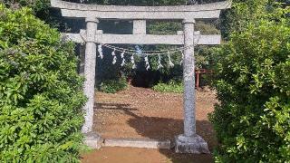 下田稲荷の参拝記録(まっちゃんさん)