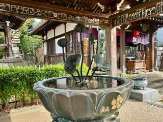 新井山梅照院薬王寺（新井薬師）の参拝記録(reiさん)