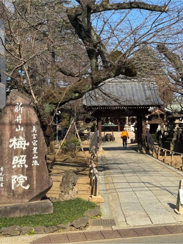 新井山梅照院薬王寺（新井薬師）の参拝記録9