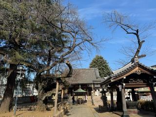 新井山梅照院薬王寺（新井薬師）の参拝記録(もっちゃんさん)