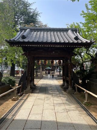 新井山梅照院薬王寺（新井薬師）の参拝記録(なっちゃんさん)