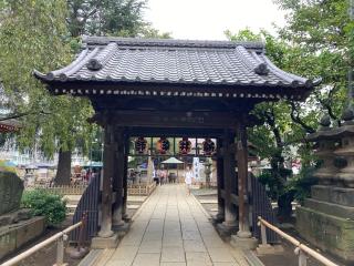 新井山梅照院薬王寺（新井薬師）の参拝記録(バルタさん)