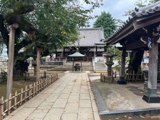 新井山梅照院薬王寺（新井薬師）の参拝記録(みやごんさん)