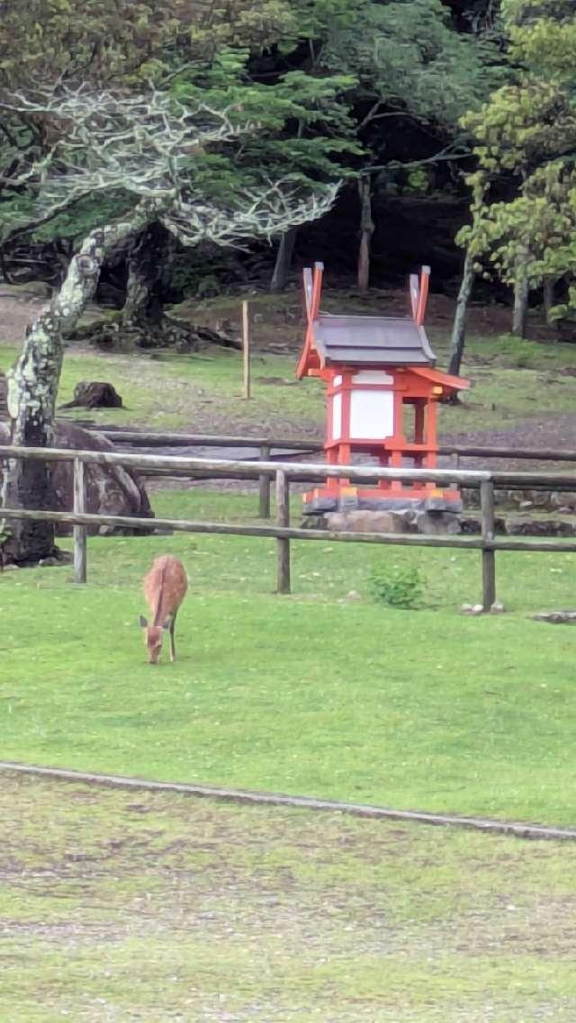 野上神社・石荒神社の参拝記録2