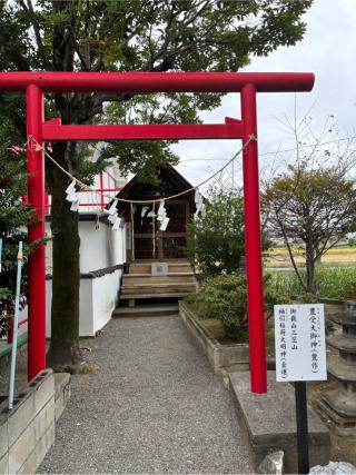 御嶽山白龍神社の参拝記録(オリーブさん)