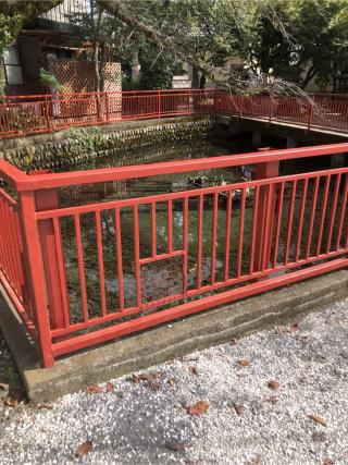 江の島宮(八雲神社)の参拝記録(こーちんさん)