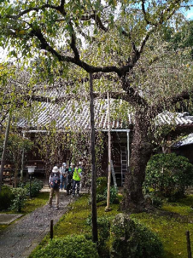 奈良県香芝市畑7-9-7 専称寺 観音堂の写真1