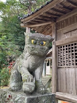 吉井白山宮の参拝記録(みほさん)