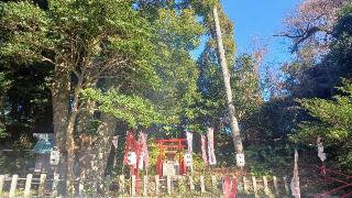 大漁稲荷神社（大山祇神社境内社）の参拝記録(SFUKUさん)