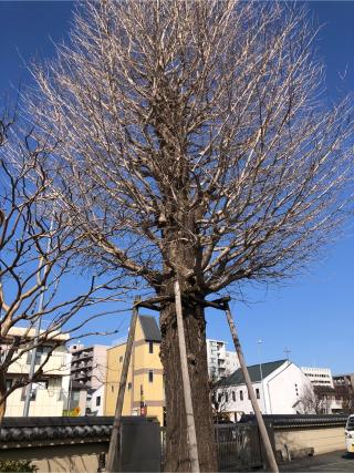 勝楽寺の参拝記録(のりちゃんさん)