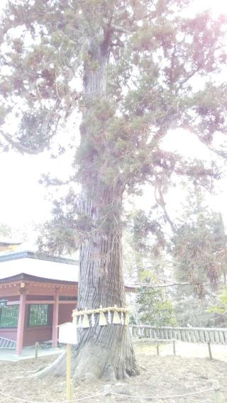 末社四社（鹽竈神社）の参拝記録(ひろ神社仏閣さん)