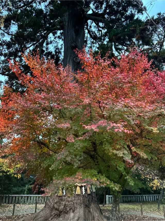 鹽竈神社 別宮（陸奥國一宮）の参拝記録2