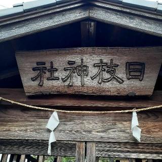 サンノーサン・日枝神社の参拝記録(三毛猫さん)