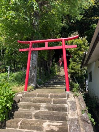 大江稲荷の参拝記録(⛩️🐍🐢まめ🐢🐍⛩️さん)