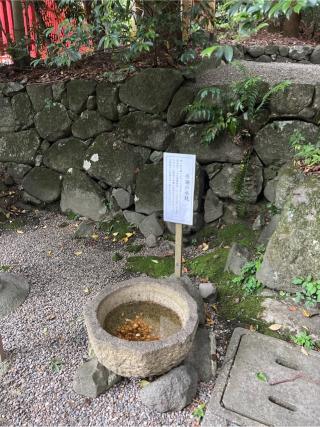 一言主神社(枚岡神社末社)の参拝記録(⛩️🐍🐢まめ🐢🐍⛩️さん)
