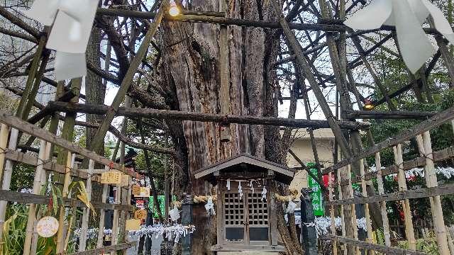 竜神様（稲毛神社）の参拝記録10