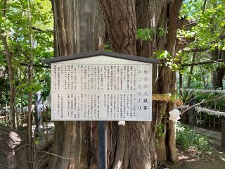 竜神様（稲毛神社）の参拝記録(有栖さん)