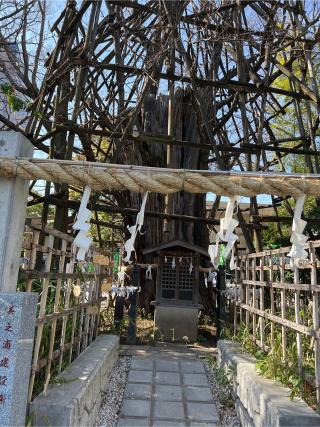 竜神様（稲毛神社）の参拝記録(⛩️🐍🐢まめ🐢🐍⛩️さん)