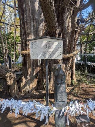 竜神様（稲毛神社境内社）の参拝記録(はくすみさん)