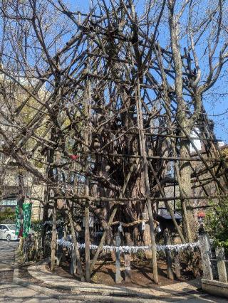 竜神様（稲毛神社境内社）の参拝記録(はくすみさん)