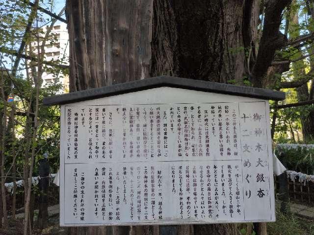 神奈川県川崎市川崎区宮本町7-7 竜神様（稲毛神社境内社）の写真4