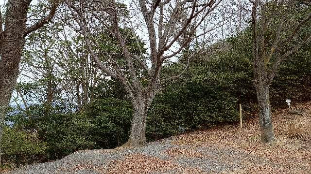 広島県呉市宮原村 若宮神社の写真2