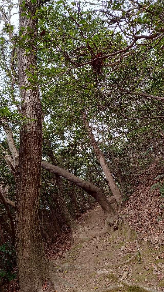 広島県呉市宮原村 若宮神社の写真4