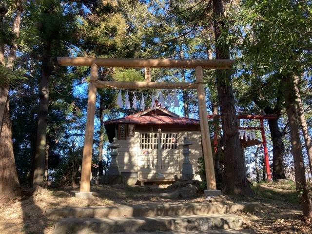 埼玉県秩父郡横瀬町横瀬２３０１ 猿田彦神社の写真1