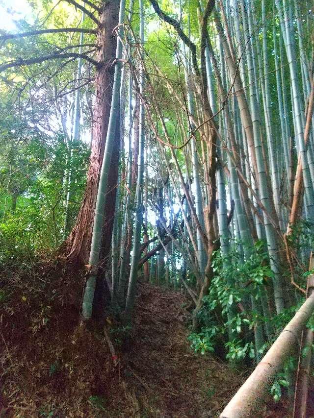 奈良県宇陀市大宇陀拾生 稲荷大明神 (大宇陀拾生)の写真2