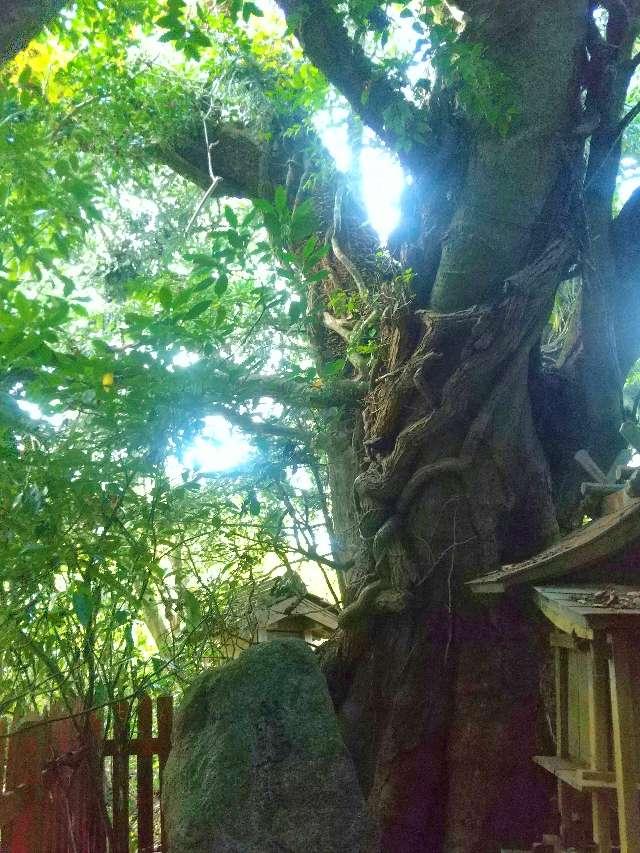 奈良県宇陀市大宇陀拾生 稲荷大明神 (大宇陀拾生)の写真3