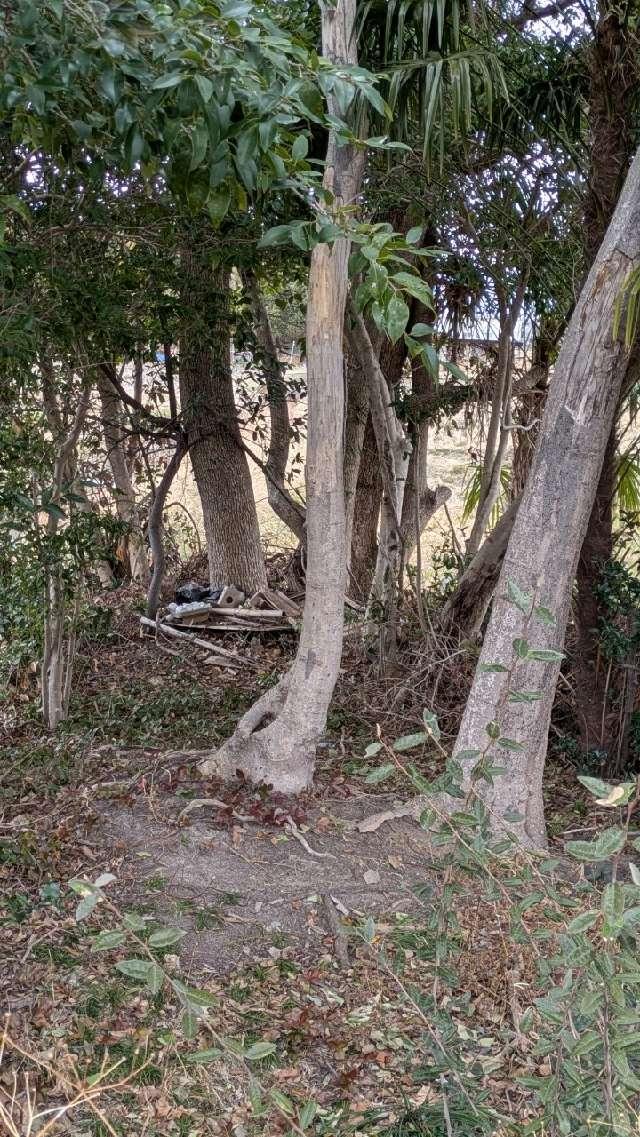 野神さん (橿原市地黄町)の参拝記録2