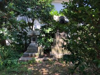 浅間神社・阿夫利神社の参拝記録(こーちんさん)