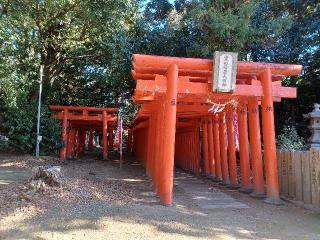 黒田稲荷社（白山神社境内社）の参拝記録(銀玉鉄砲さん)