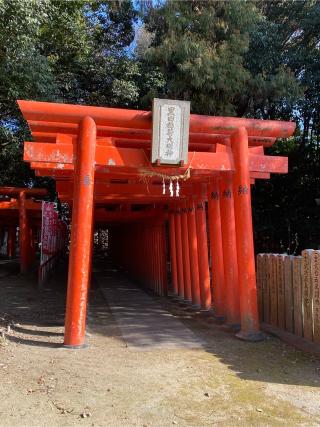 黒田稲荷社（白山神社境内社）の参拝記録(二代目無宿さん)