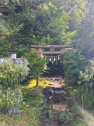 弁天社　阿夫利社の参拝記録(⛩️🐍🐢まめ🐢🐍⛩️さん)