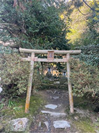 弁天社　阿夫利社の参拝記録(⛩️🐍🐢まめ🐢🐍⛩️さん)