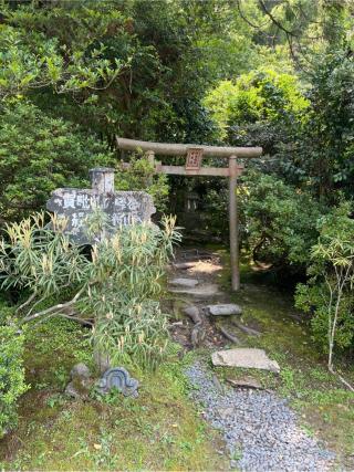 弁天社　阿夫利社の参拝記録(⛩️🐍🐢まめ🐢🐍⛩️さん)