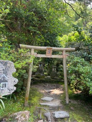 弁天社　阿夫利社の参拝記録(⛩️🐍🐢まめ🐢🐍⛩️さん)