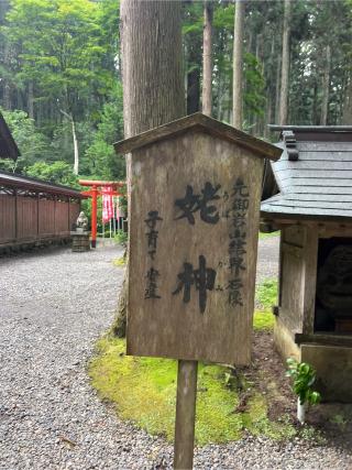 姥神の参拝記録(⛩️🎠🐢まめ🐢🎠⛩️さん)