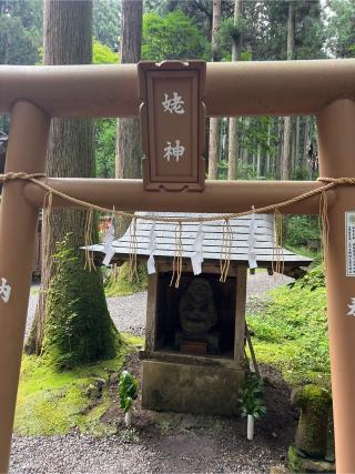 姥神の参拝記録(⛩️🎠🐢まめ🐢🎠⛩️さん)