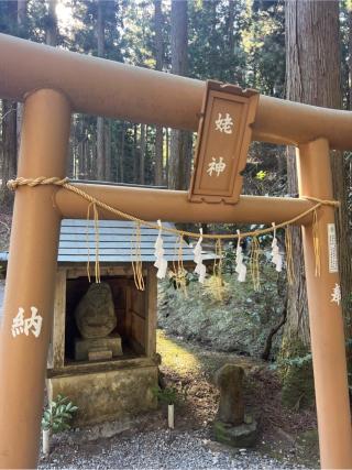 姥神の参拝記録(⛩️🎠🐢まめ🐢🎠⛩️さん)