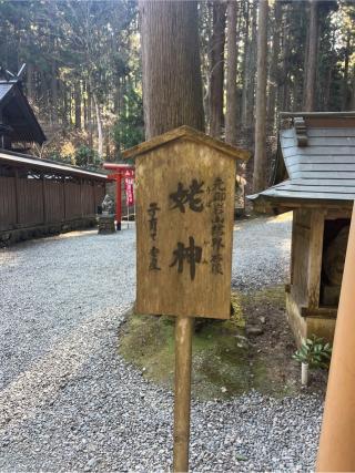 姥神の参拝記録(⛩️🎠🐢まめ🐢🎠⛩️さん)